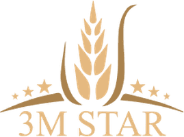 3M Star