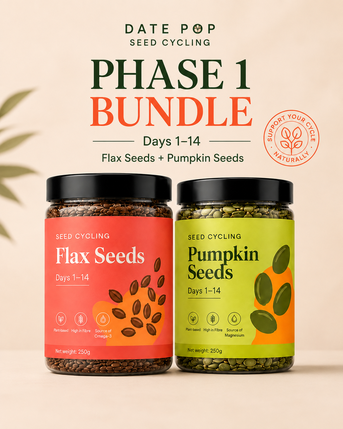 Phase 1 Bundle