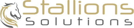 Stallions Solutions