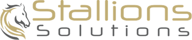 Stallions Solutions