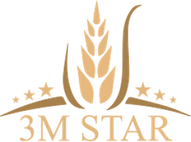 3M Star